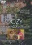Lóczy - una escuela de civilización