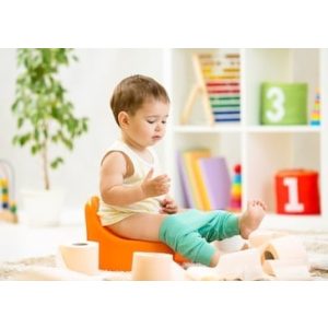 Műhelybeszélgetés - Szobatisztaság  (2026. márc. 18.)